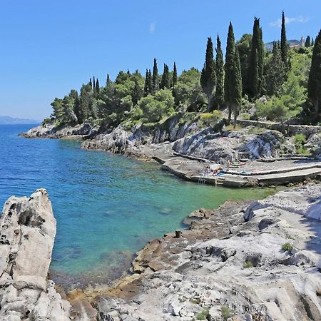 Apartments By The Sea Trpanj, Peljesac - 257 Eksteriør billede