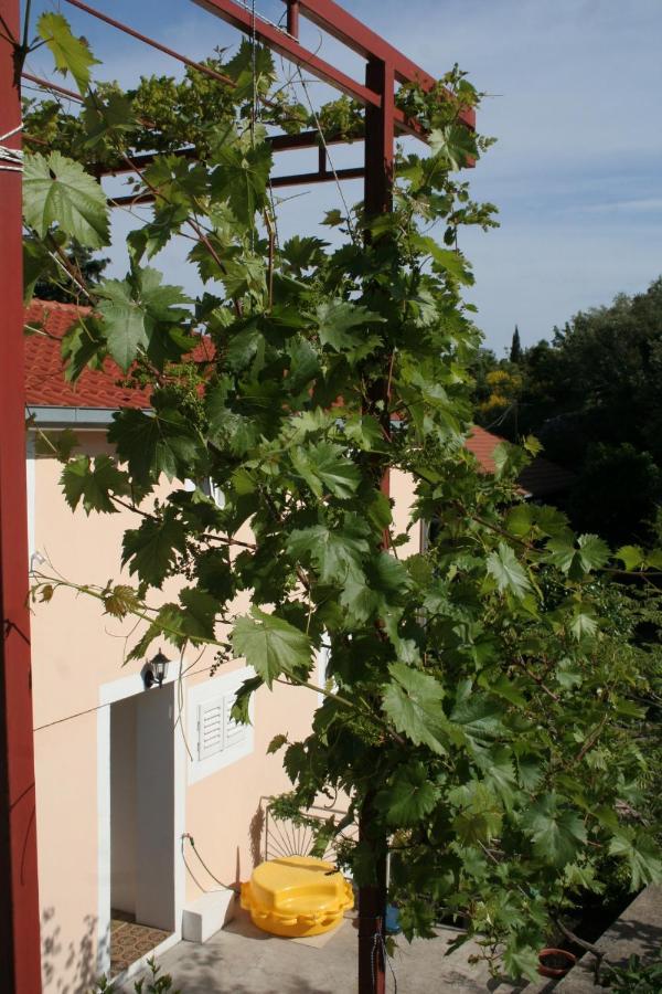 Apartments By The Sea Trpanj, Peljesac - 257 Eksteriør billede